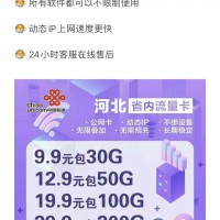 河北省19.9元-100G流量卡